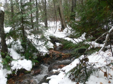 Our Stream- In The Snow