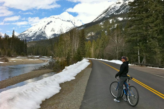 Spring Biking On The Going To The Sun Road
